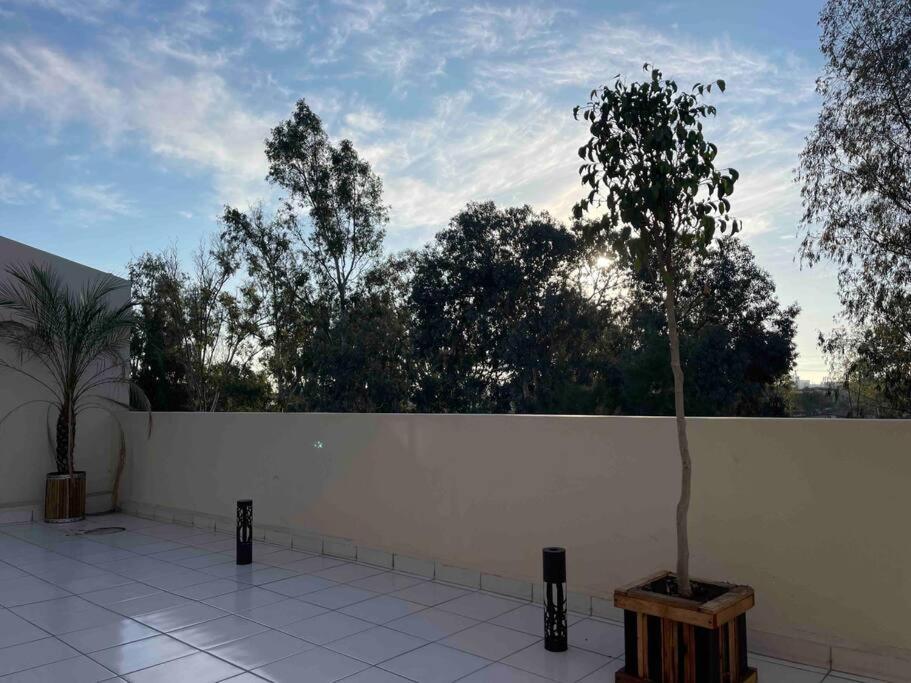Otay Studio Great Patio Near Otay Crossing & Airport Tijuana Zewnętrze zdjęcie